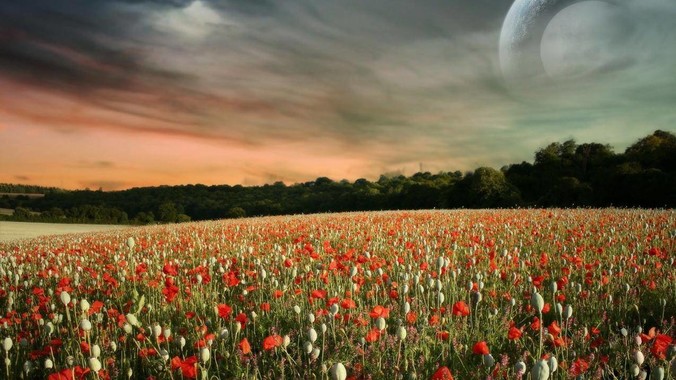 你在出租房屋发现过什么前租客留下的“宝藏”？